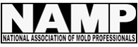 Black Mold Testing